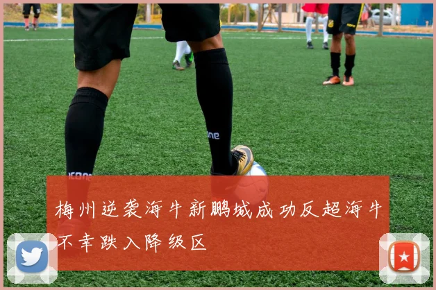 梅州逆袭海牛新鹏城成功反超海牛不幸跌入降级区