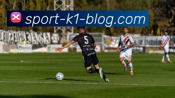 k1体育平台生态图